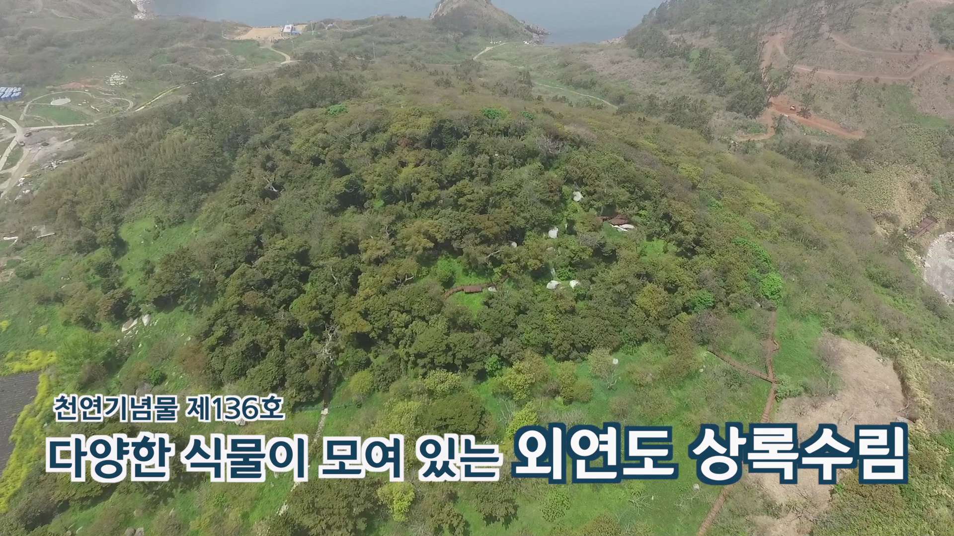 하늘에서 본 외연도